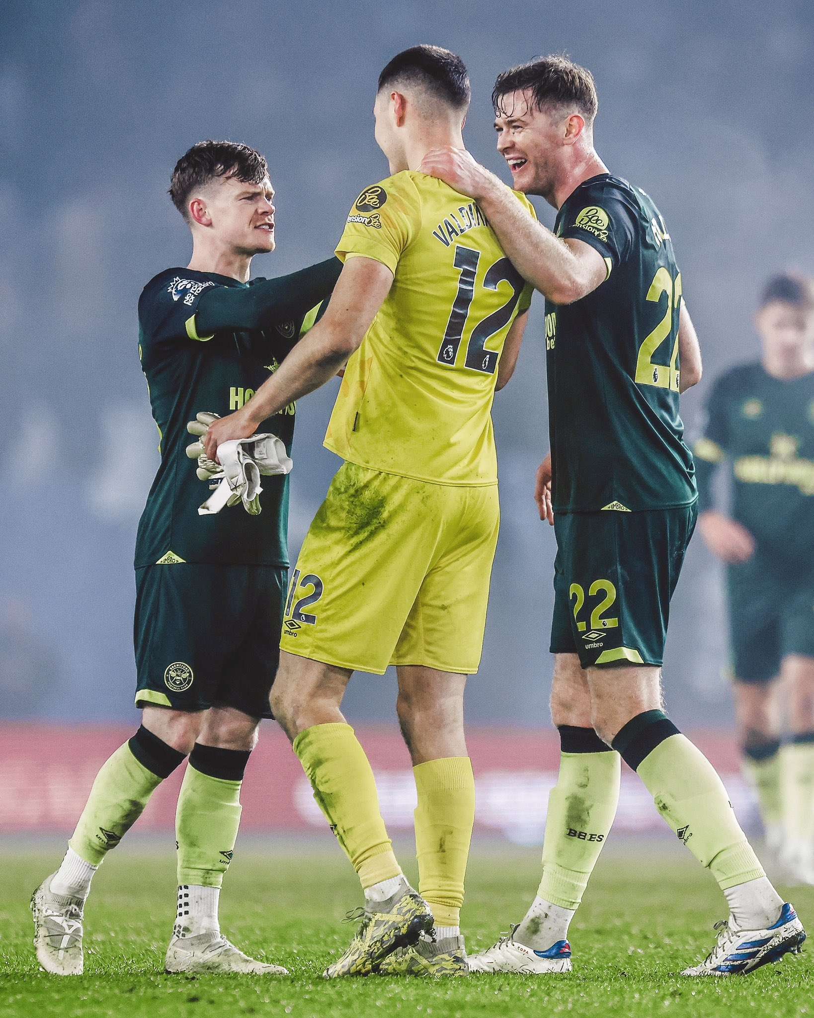 Brentford Football Club: The Rise of the Bees
